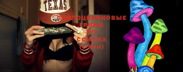МДПВ Ладушкин