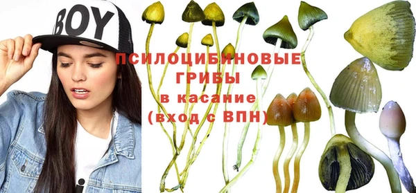 каннабис Алзамай