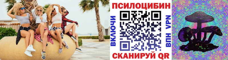 Псилоцибиновые грибы Cubensis  Новосиль 